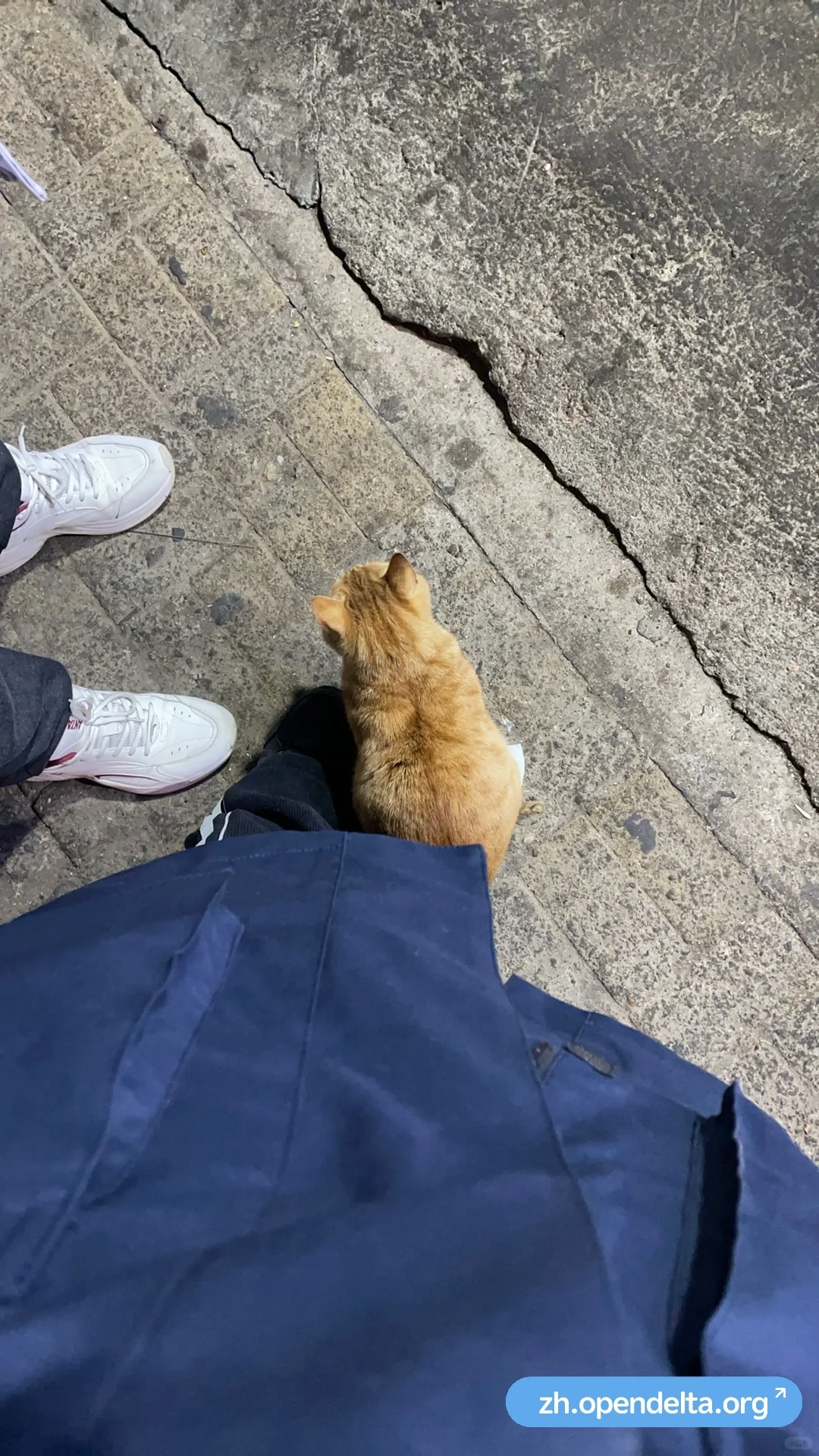 Zlib更新！小橘猫出没！🾩🾩🾩