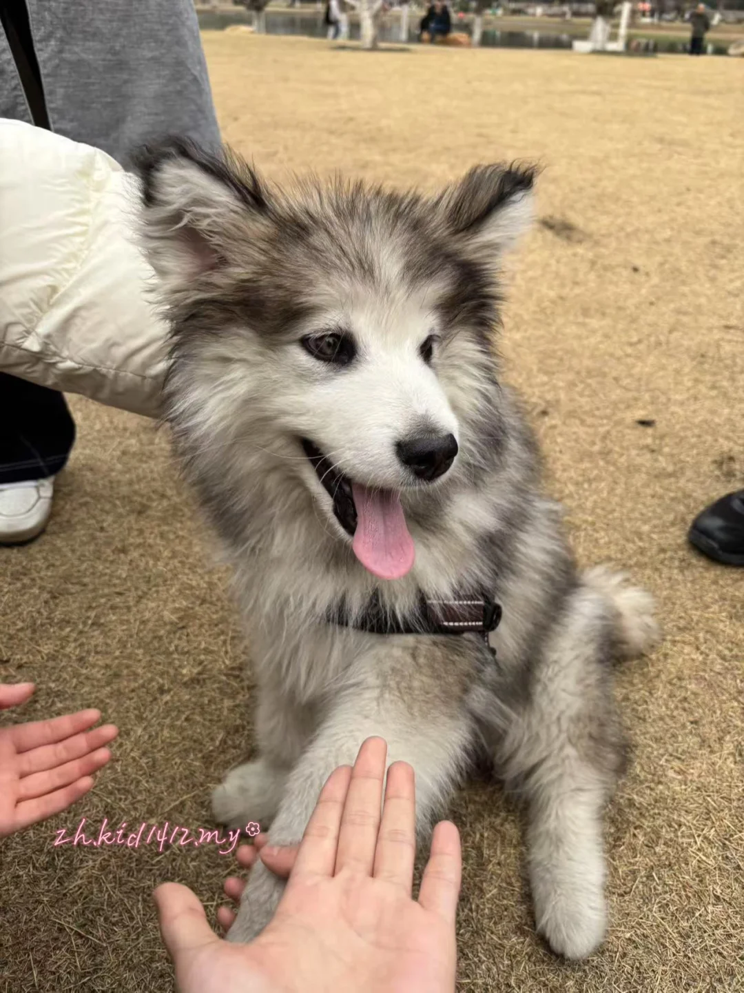 Zlib最新更新