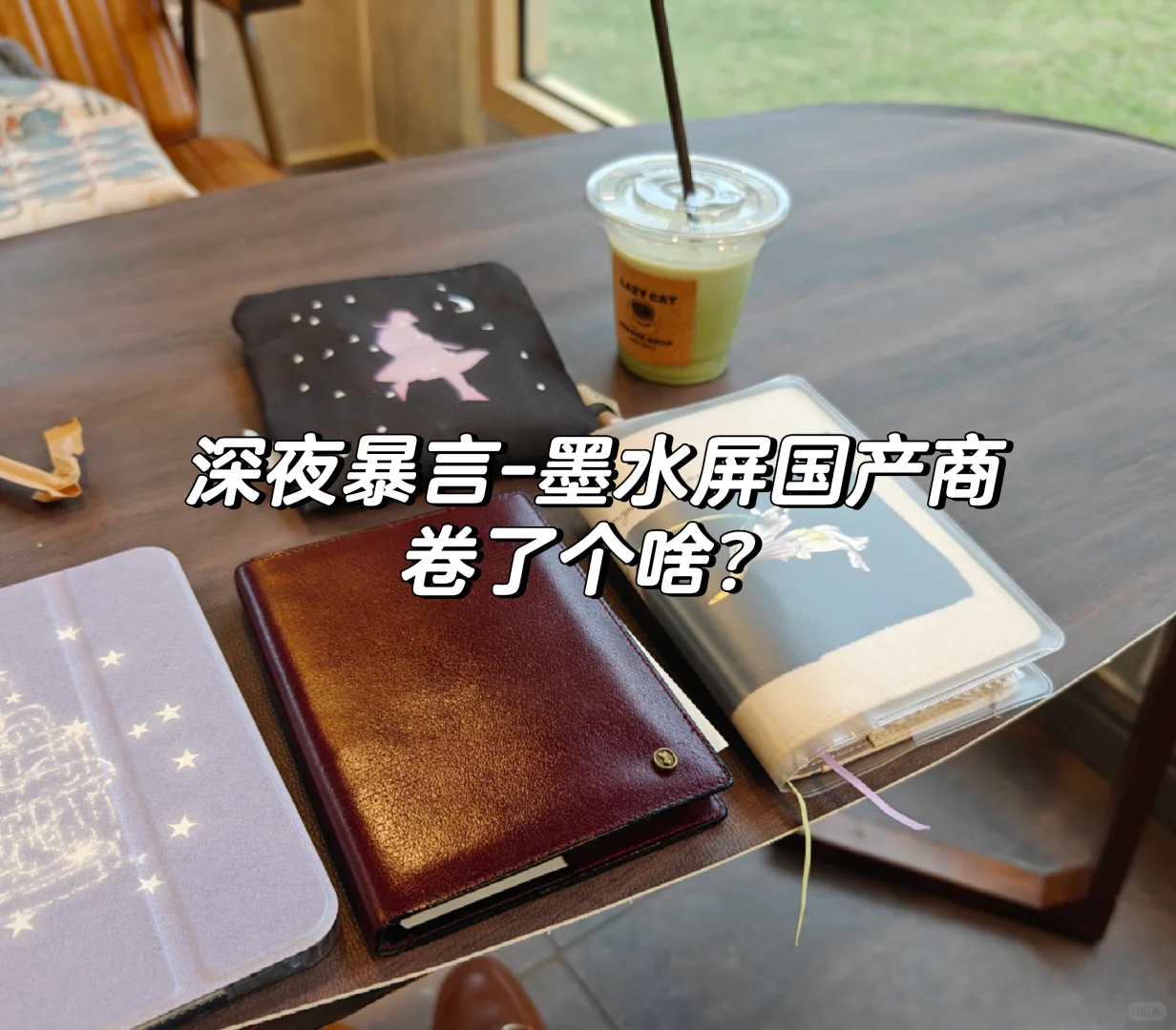 深夜暴言-墨水屏国产商卷了个啥？