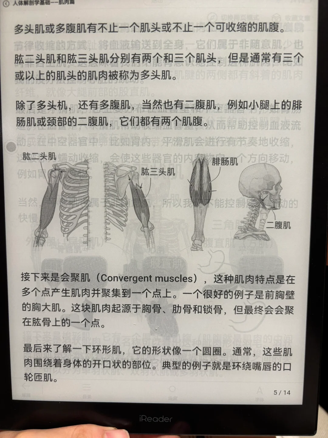 电子书可以看微信公众号呀