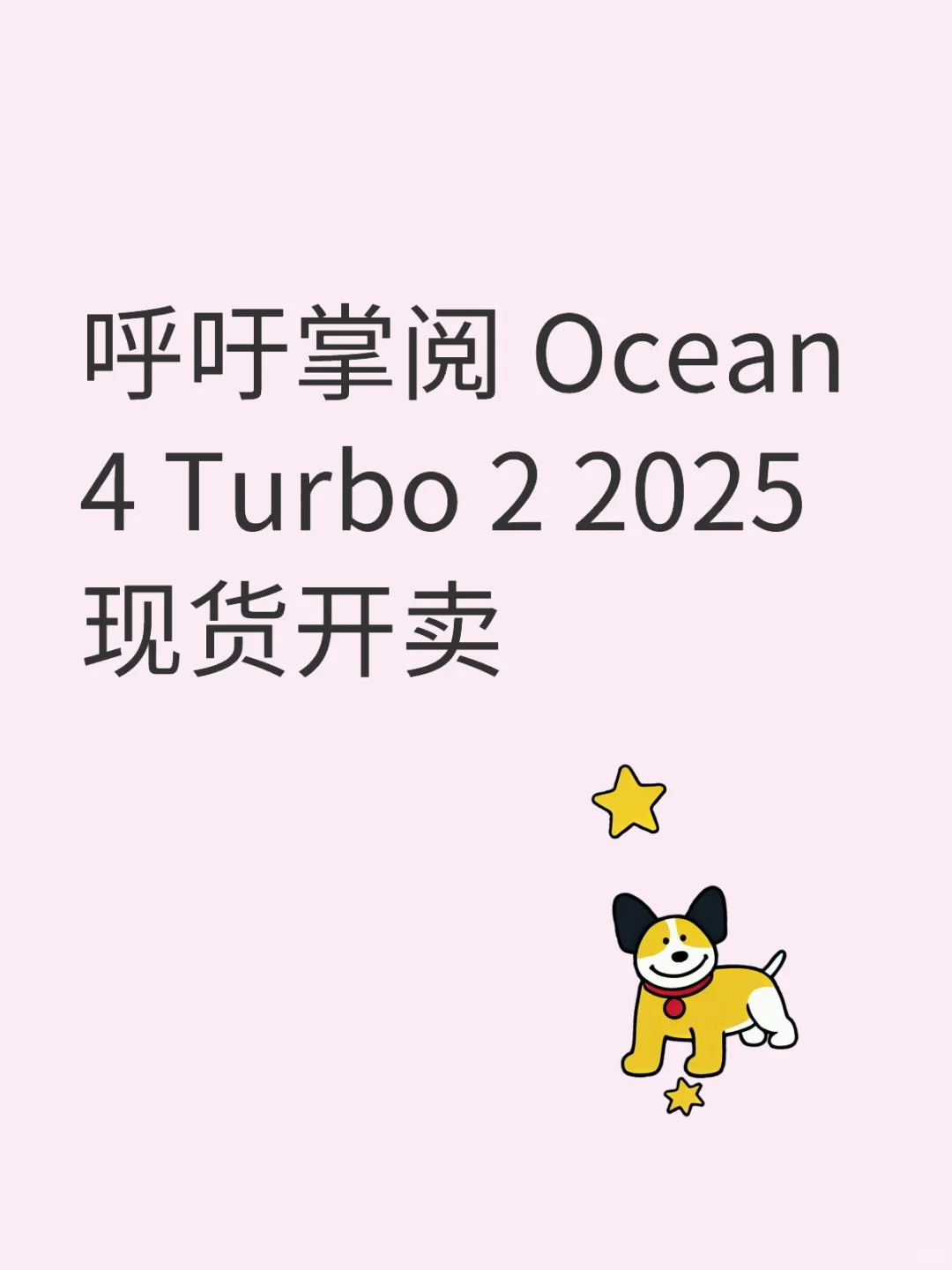 📖掌阅Ocean4 Turbo 2025现货！羊毛不薅