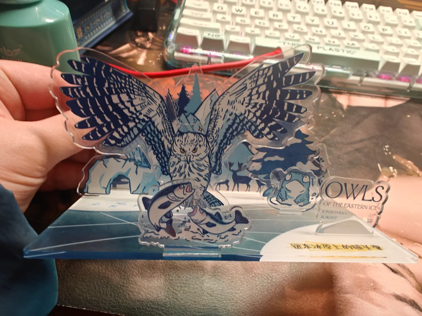 时隔三年终于用上了一楼活动区！！！