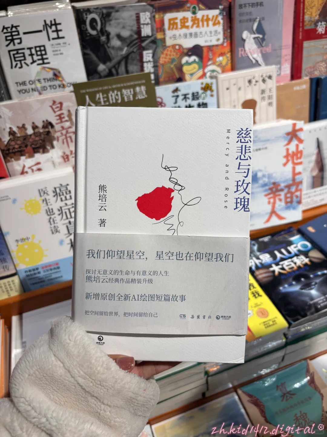 Zlib更新