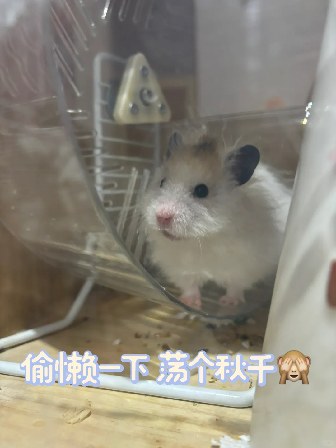 🔓解锁掌阅｜中短税前整本2250保底签约啦！