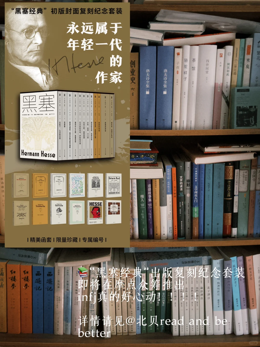 （：阳光把纸书的肌理照出漫漫丘陵