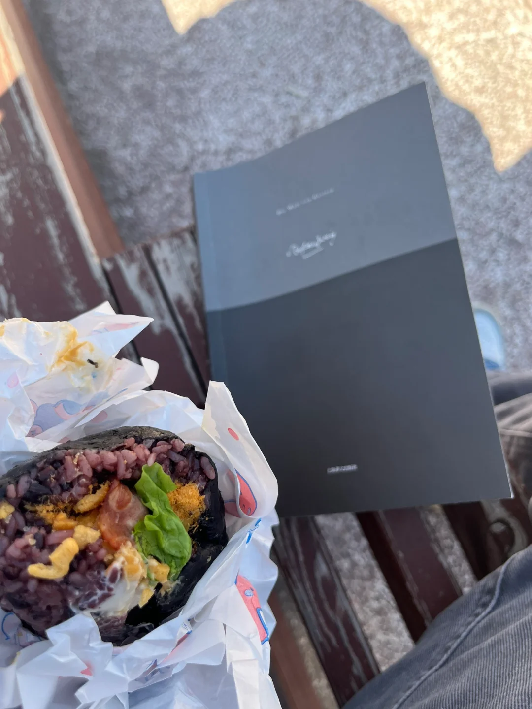 （：阳光把纸书的肌理照出漫漫丘陵