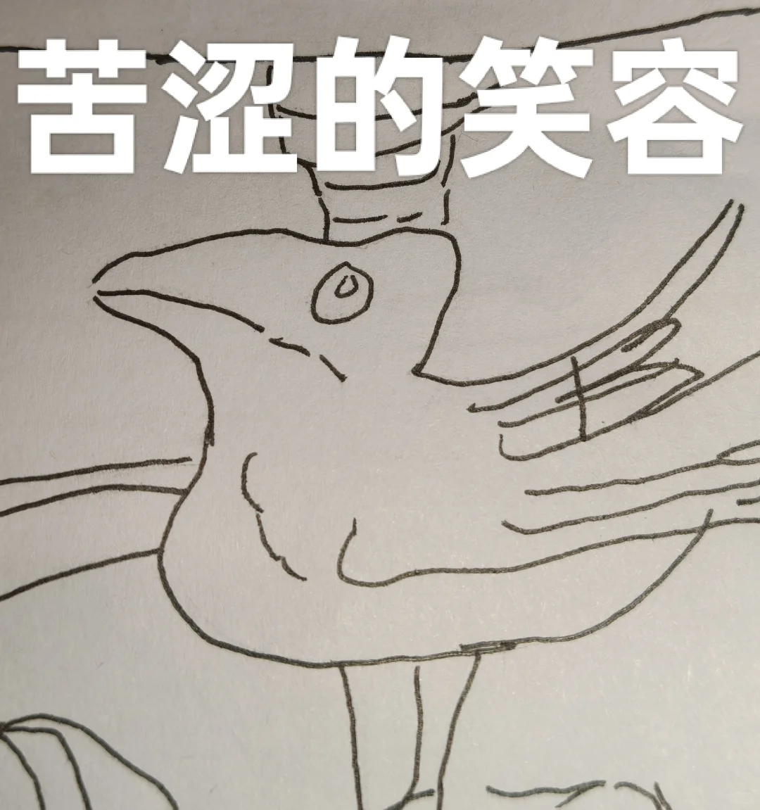 收墨水屏阅读器
