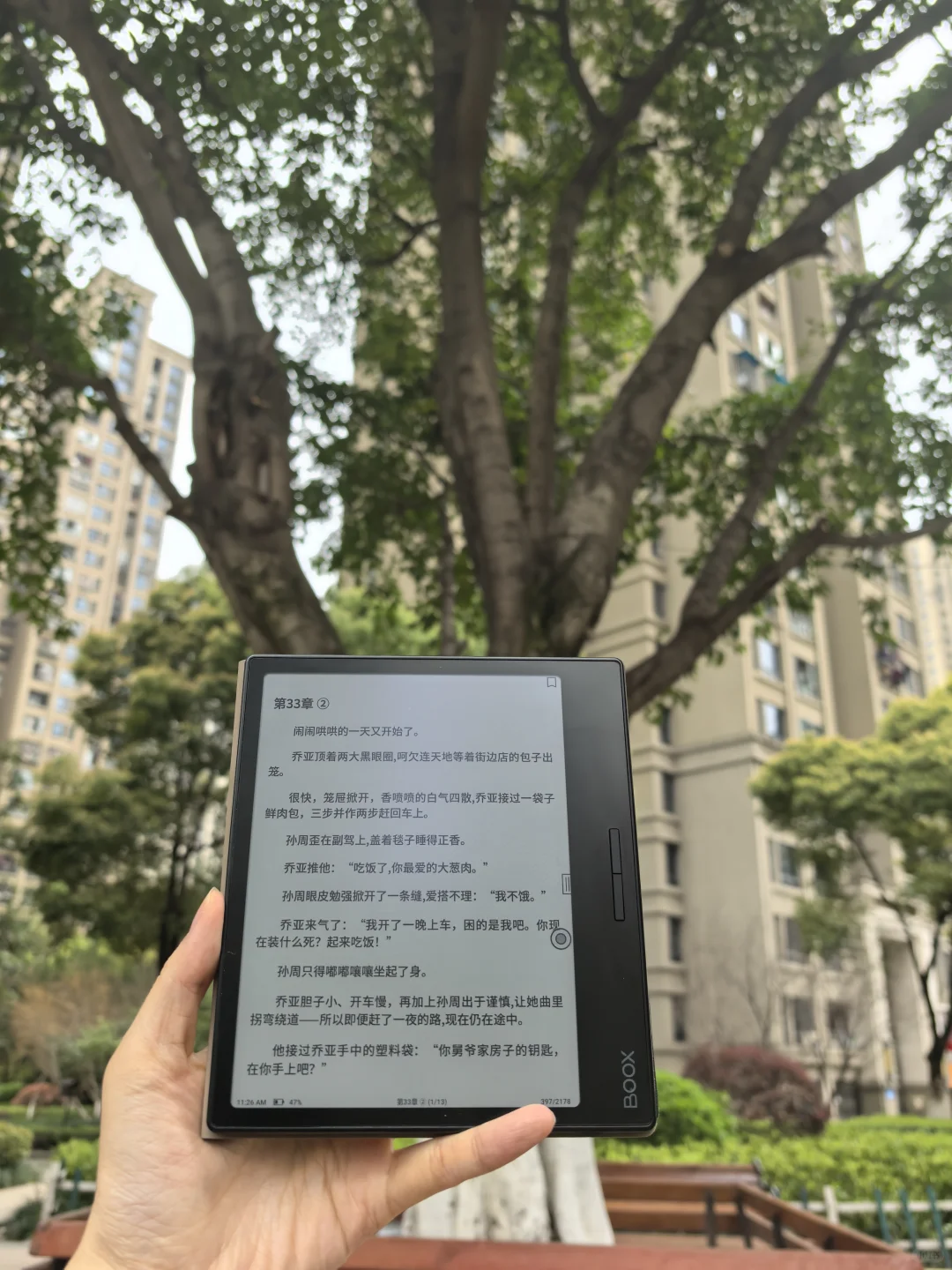 树下用文石3C看《枭起青壤》