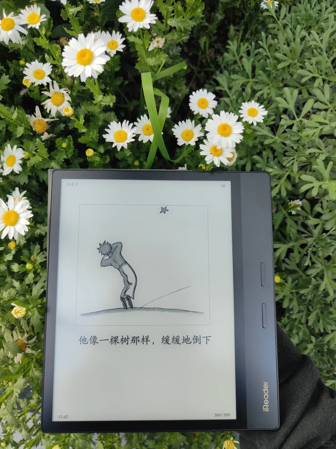 春日户外阅读2.0