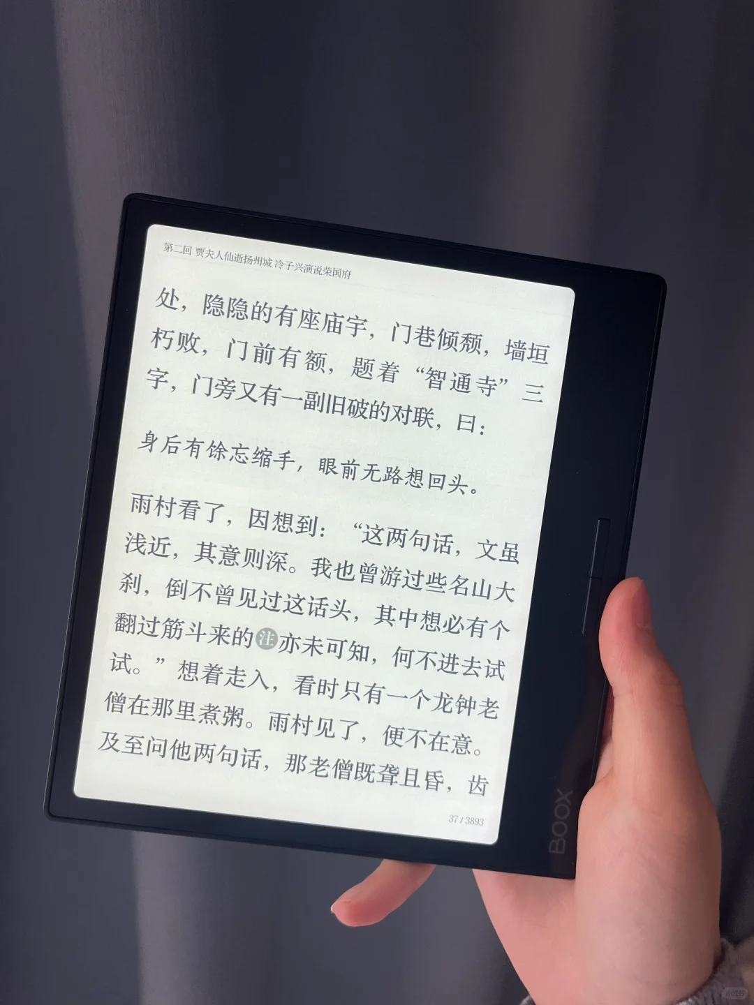 差生文具多之文石leaf3
