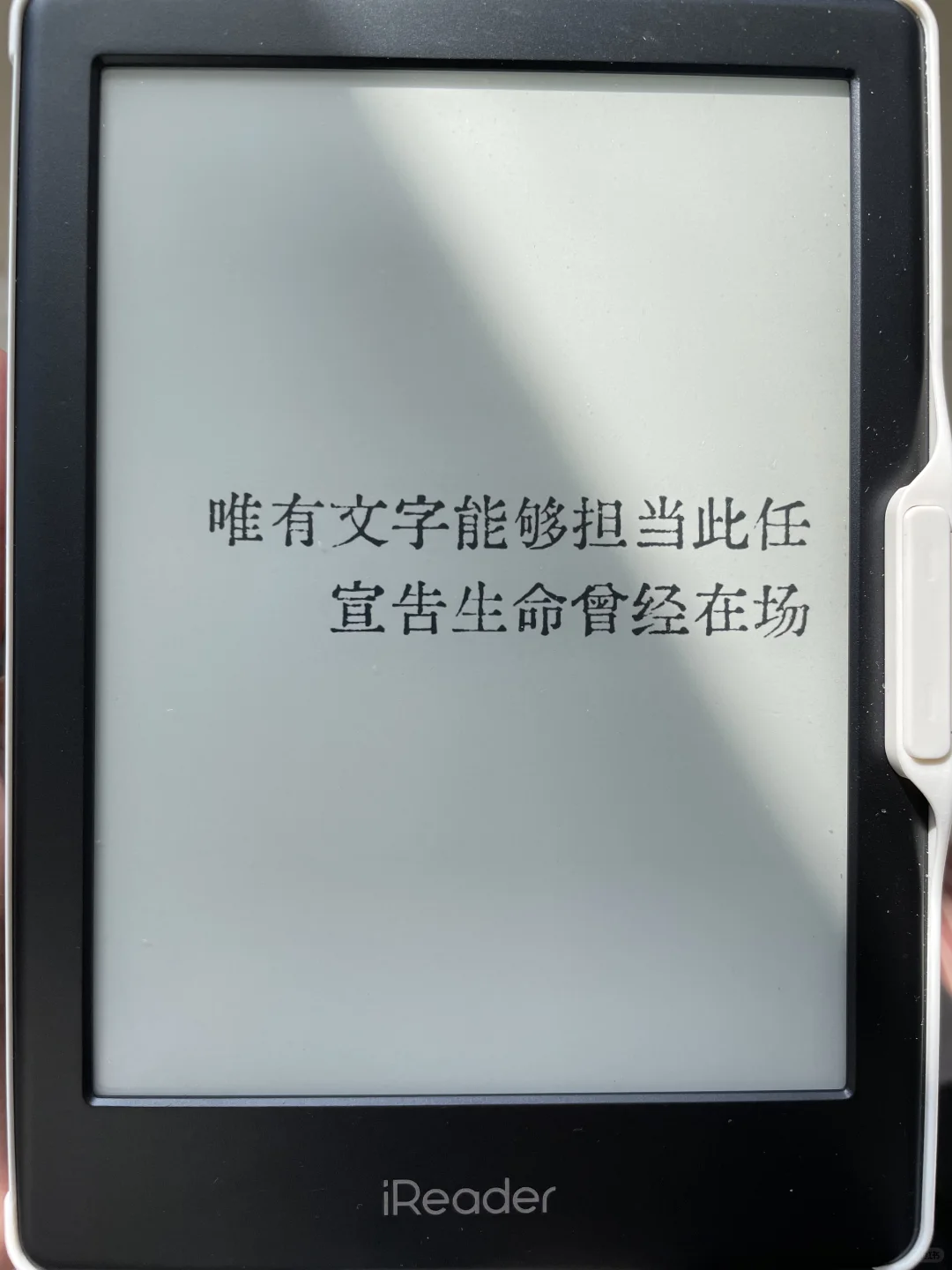 “唯有文字能够担当此任