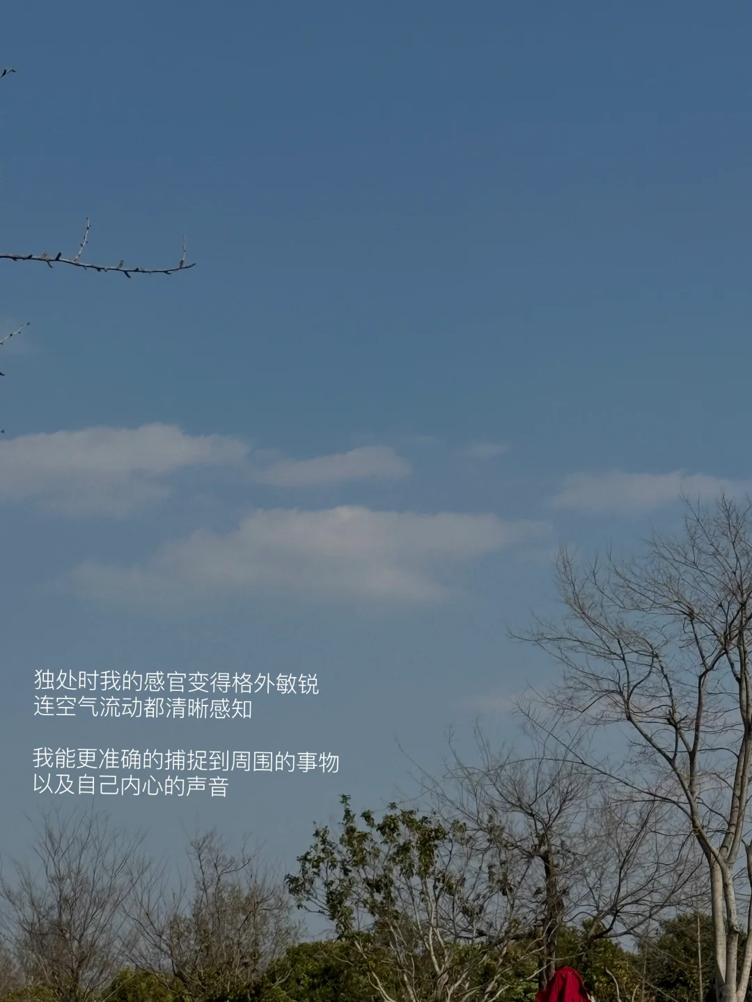我始终喜欢独处和阅读。