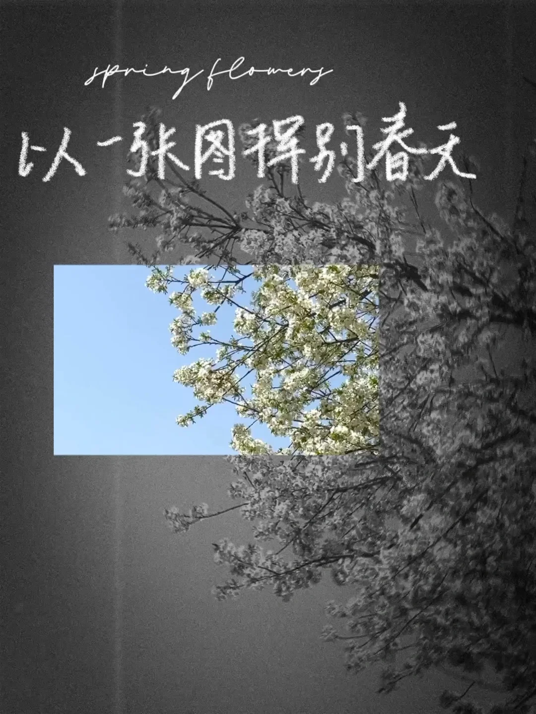 3.24-3.30｜week 6｜任何你没有改变的