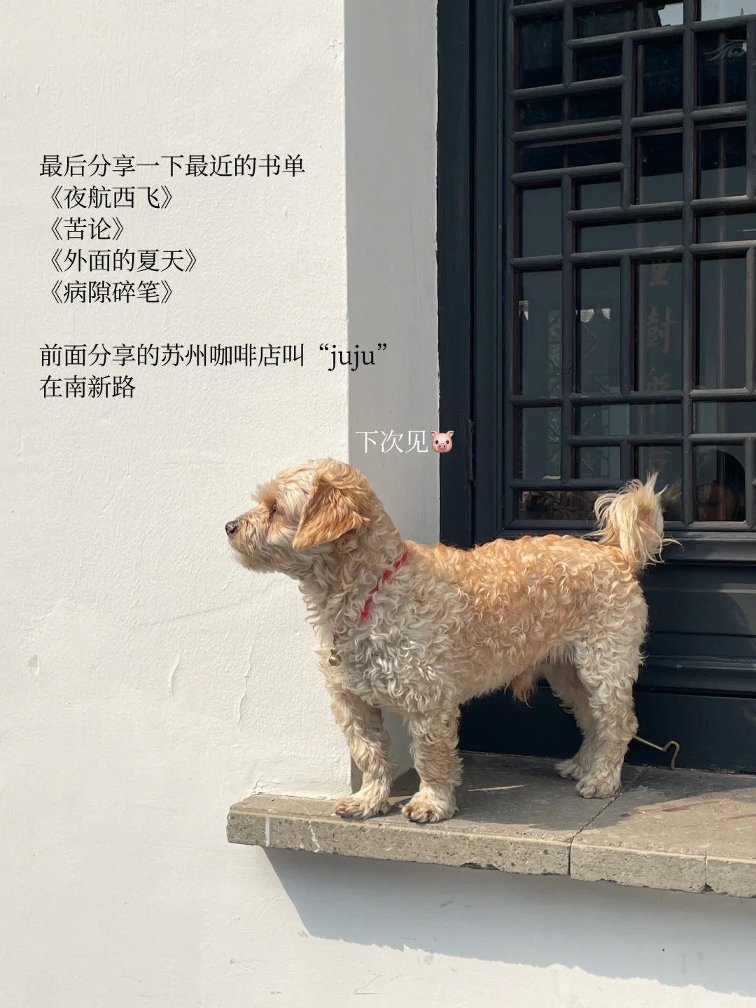 人最好的状态是平静且流动