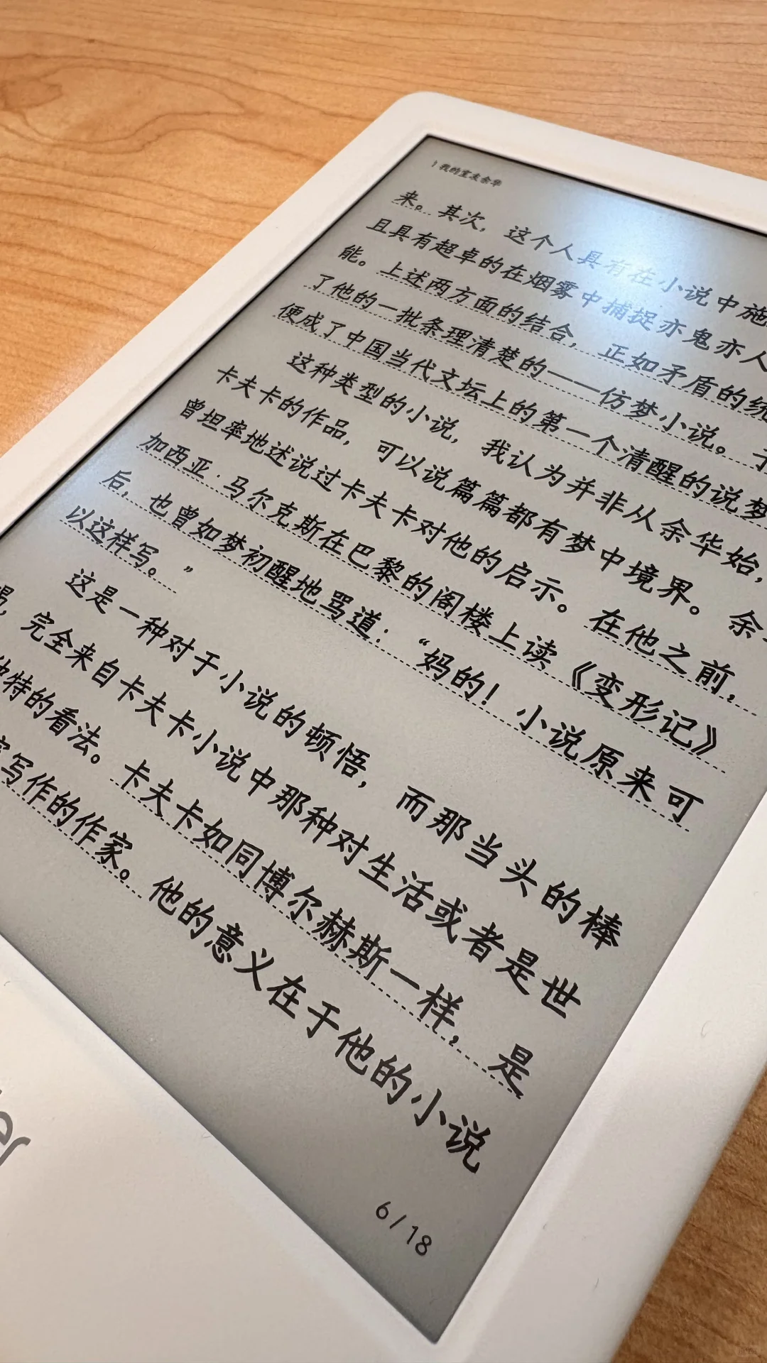 Neo2陪伴的一天