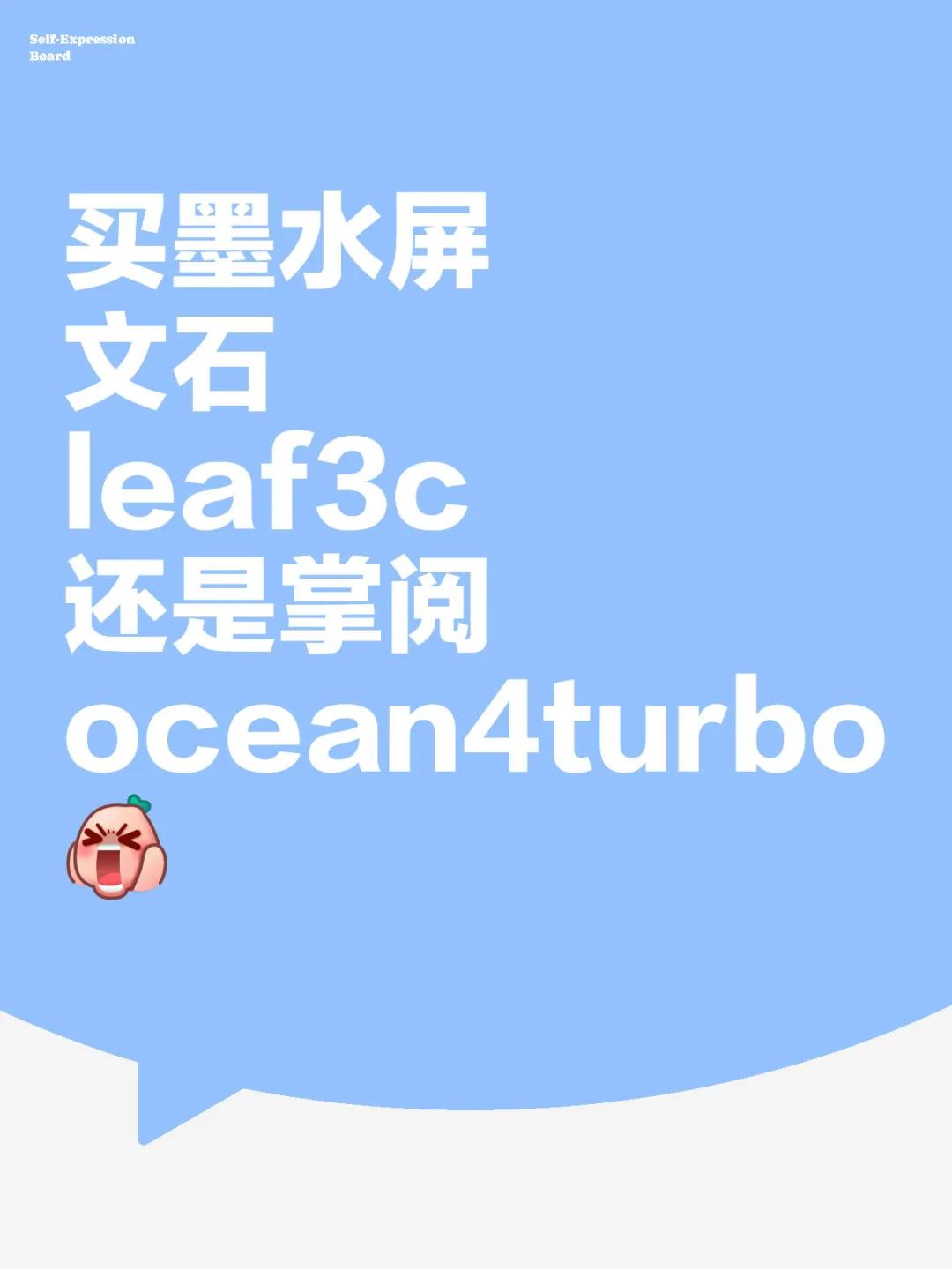 墨水屏买哪个