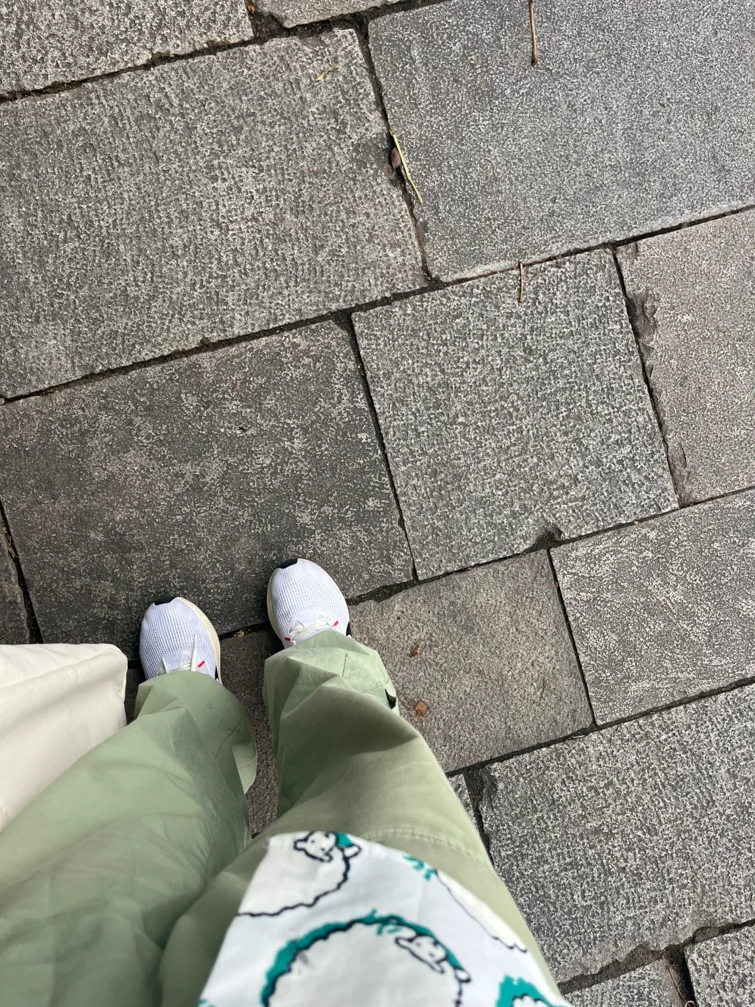 独自旅行八天后，我决定把自己埋进书里📨