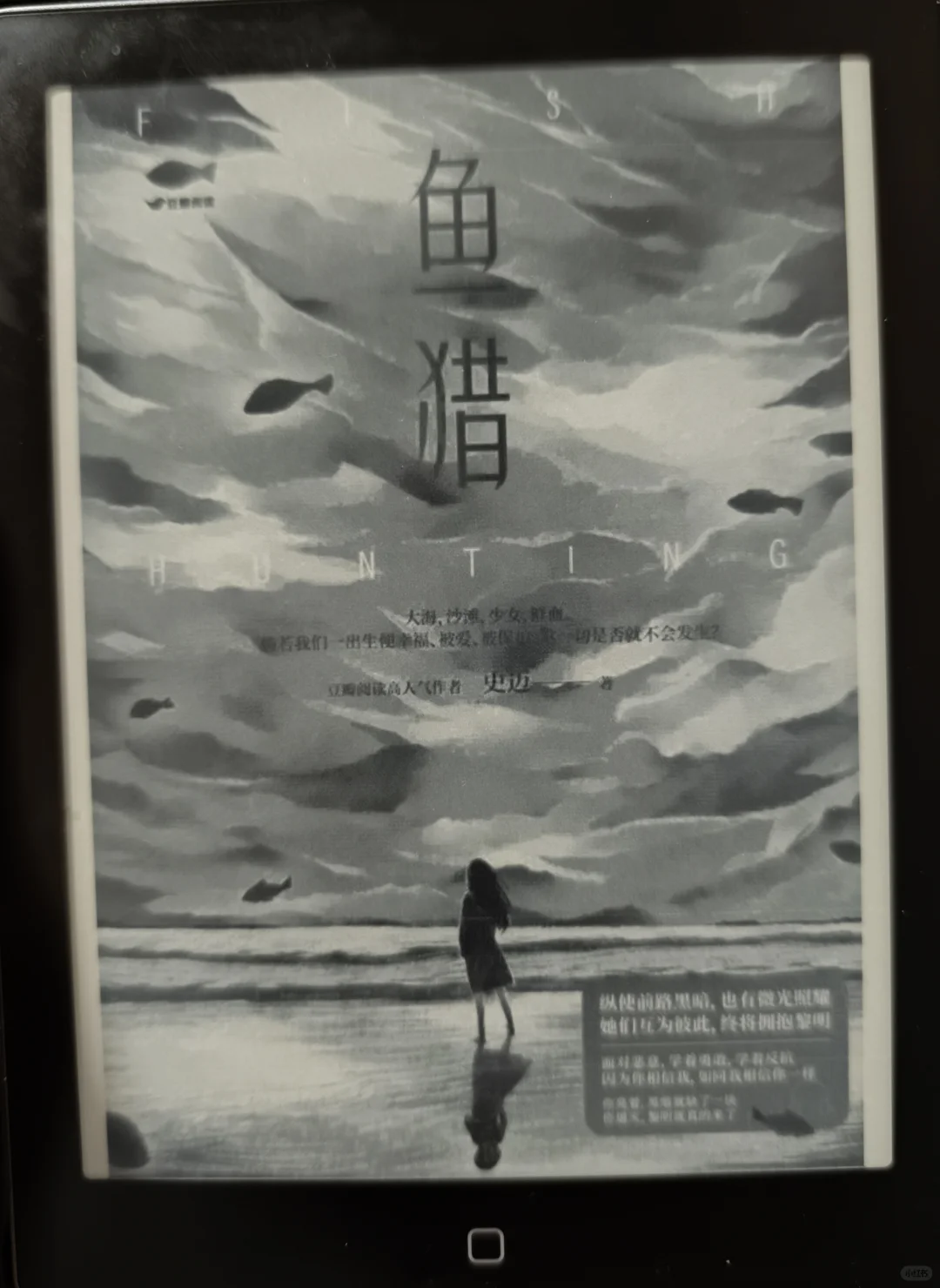 《鱼猎》汉王阅读器回本计划（9/40）