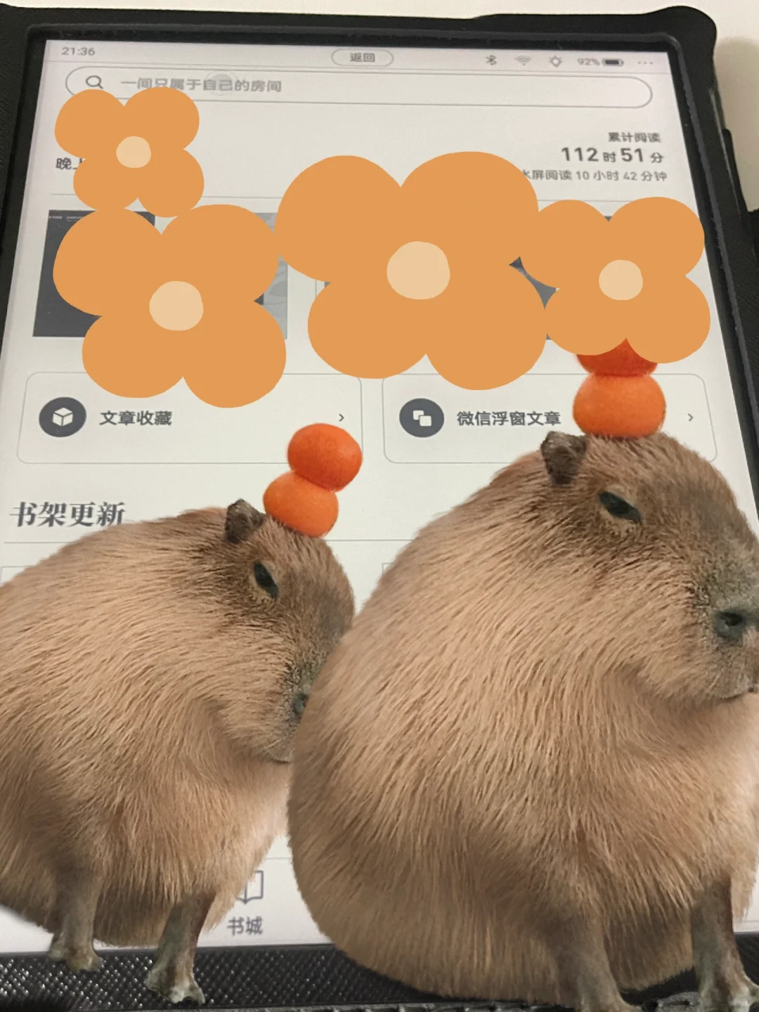 电子书阅读器选择（不定期好物分享）