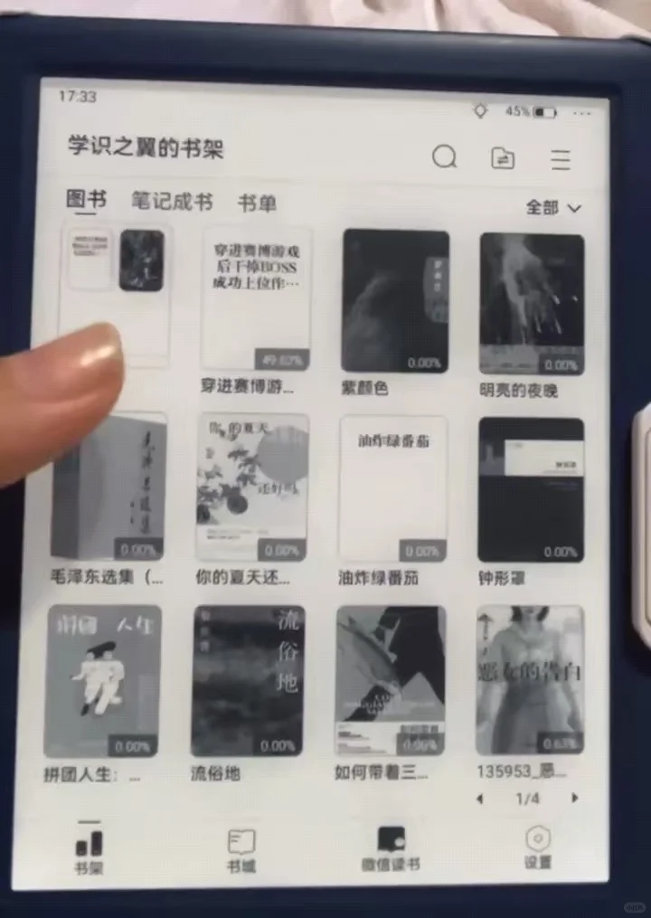 掌阅的一大一小，正正好好