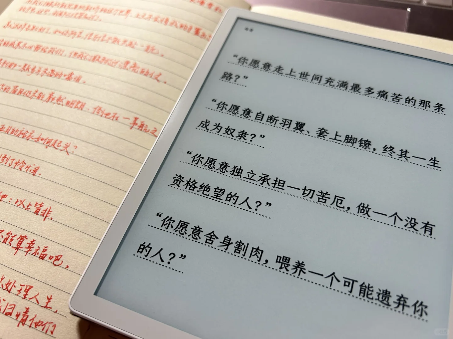 电纸书也要粉嫩嫩^>⸝⸝⸝⸝<^੭ﾞ