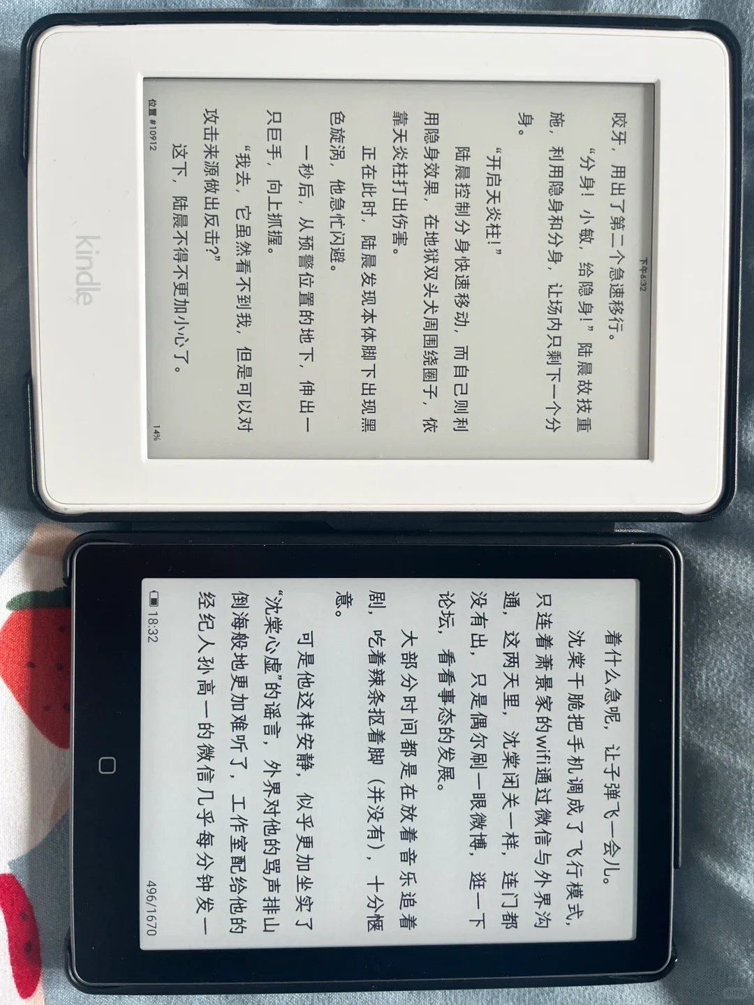 kindle vs 国产墨水屏