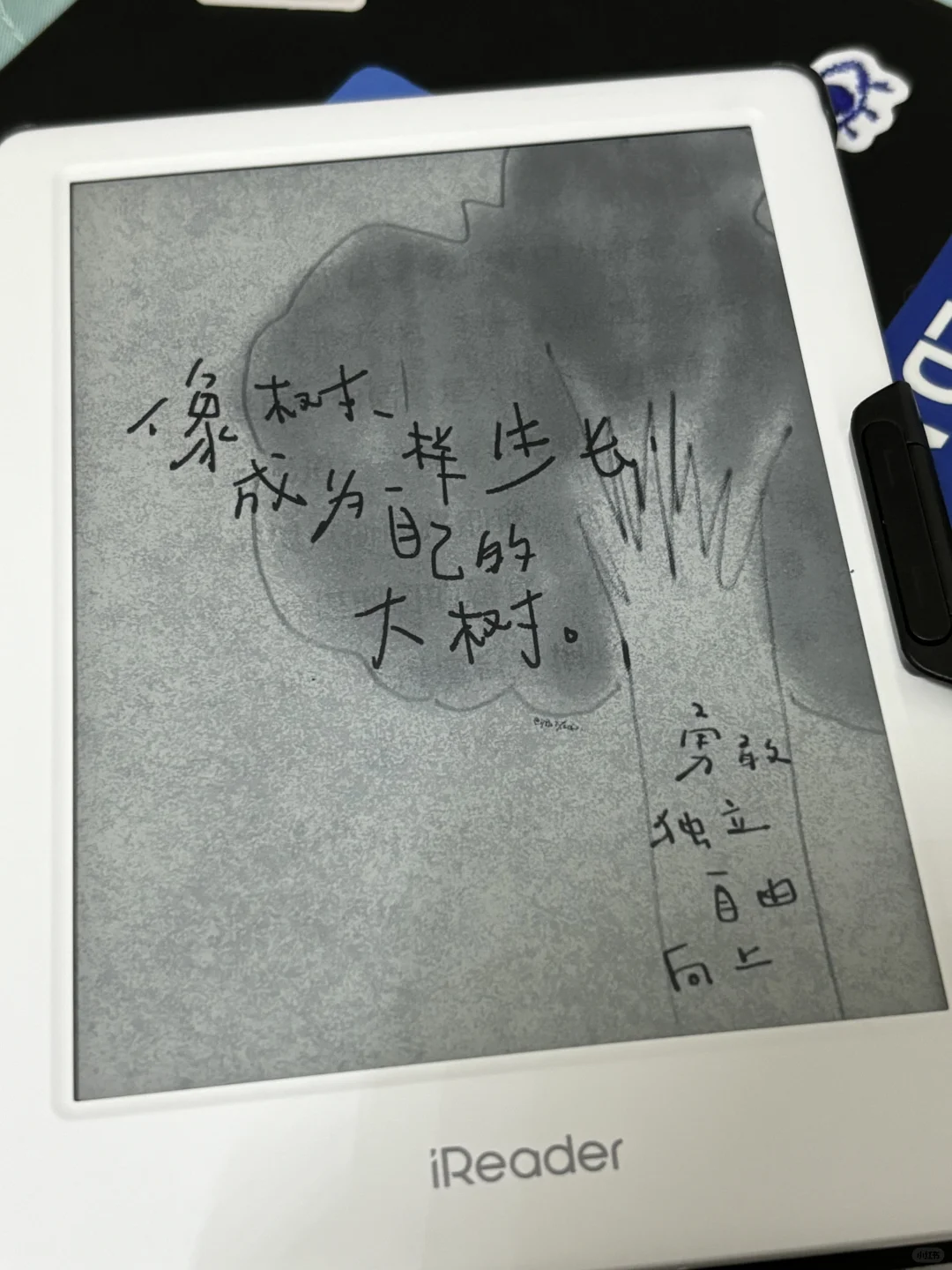 小白已到，求推荐几本书🫴🏻