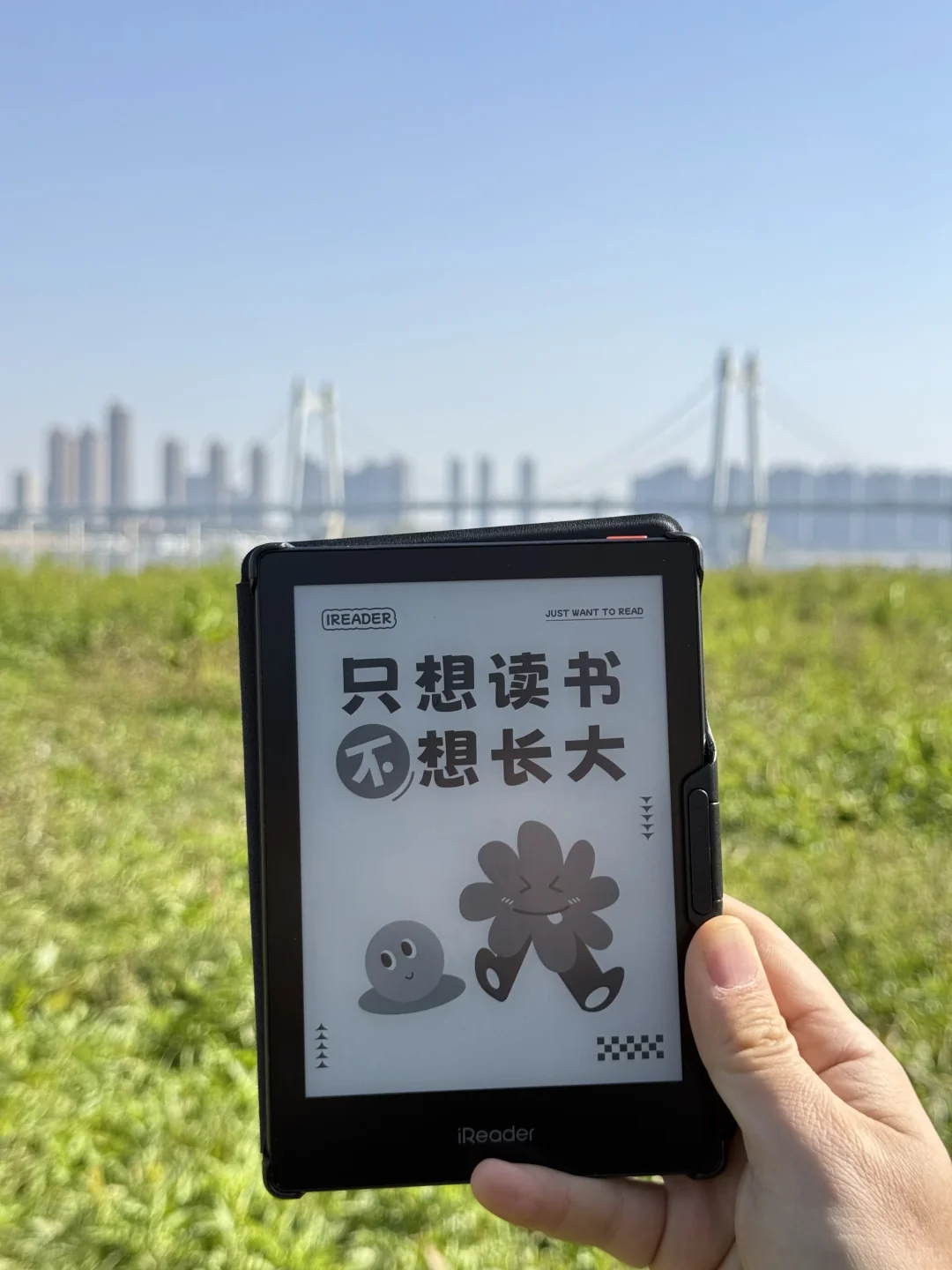不纠结了，就掌阅了！