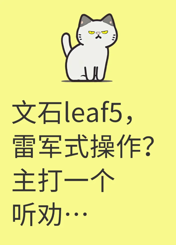 文石这波师从雷军？