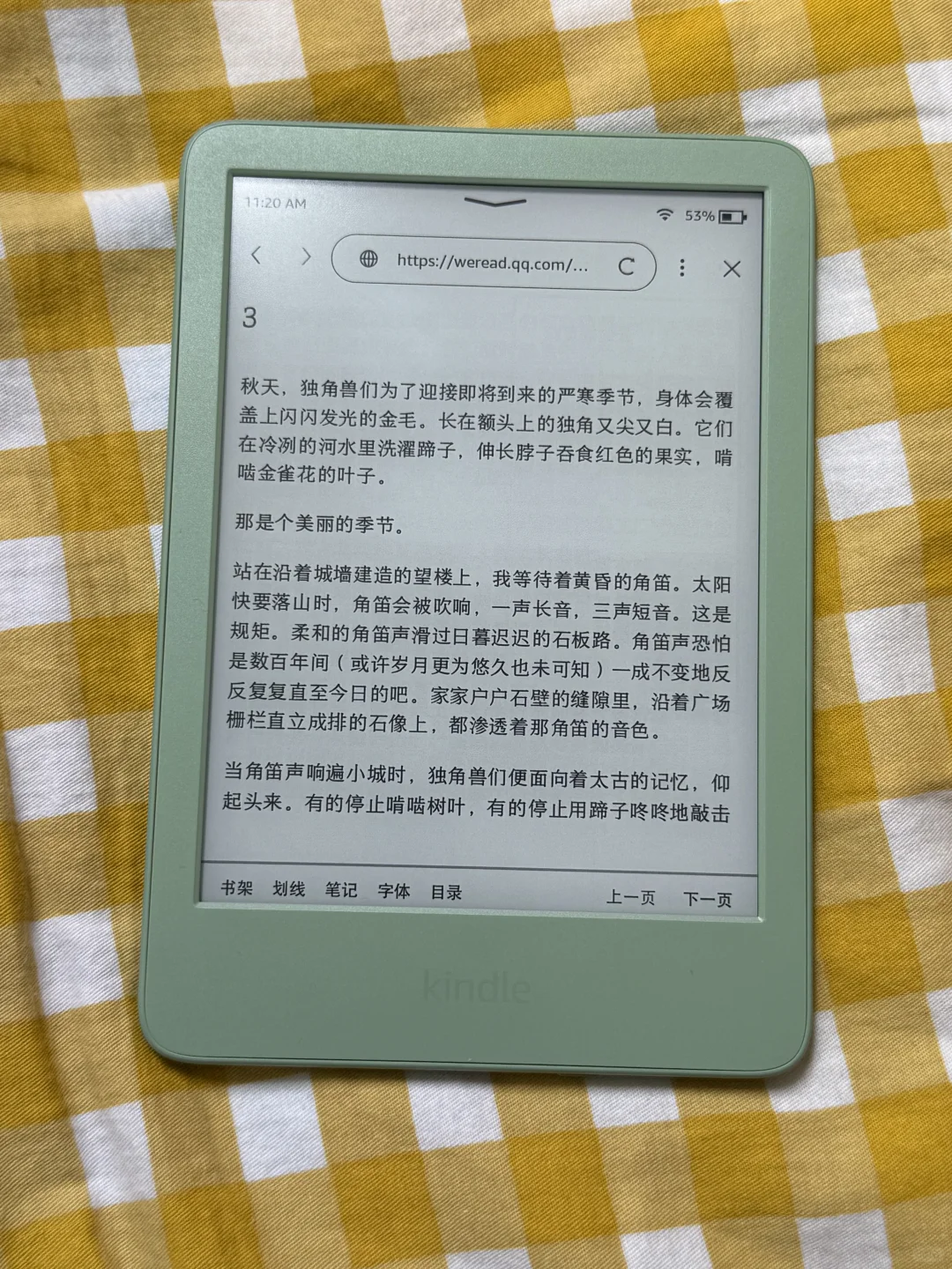关于最终我的阅读器选择