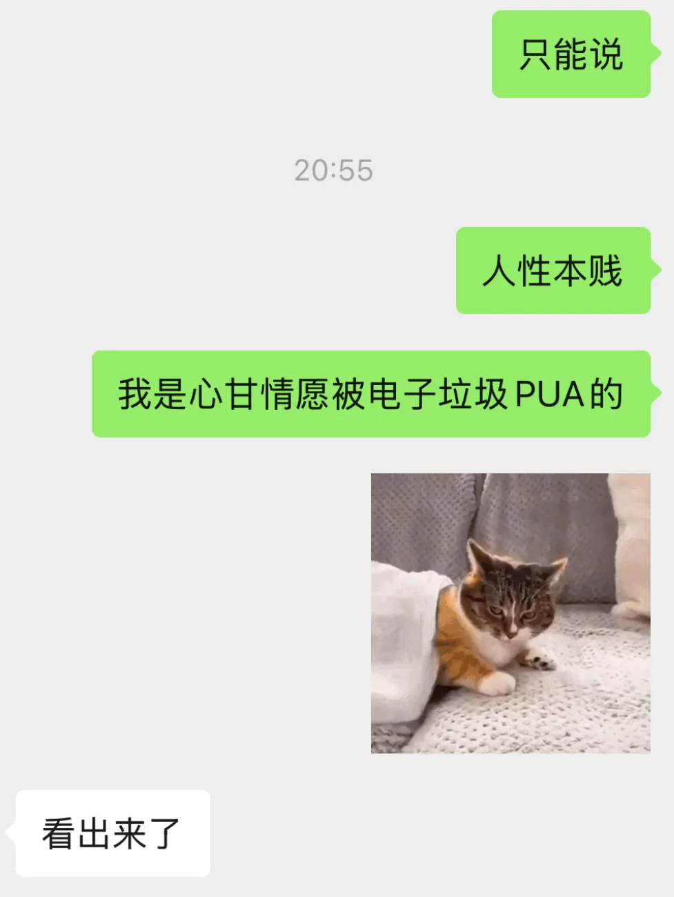 售罄但原价收到了星曈墨水屏超级早鸟🤓