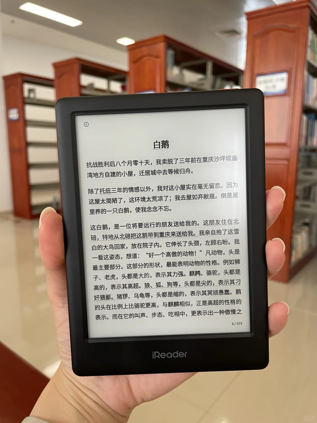 六年老兵kindle🆚新兵蛋子ireader