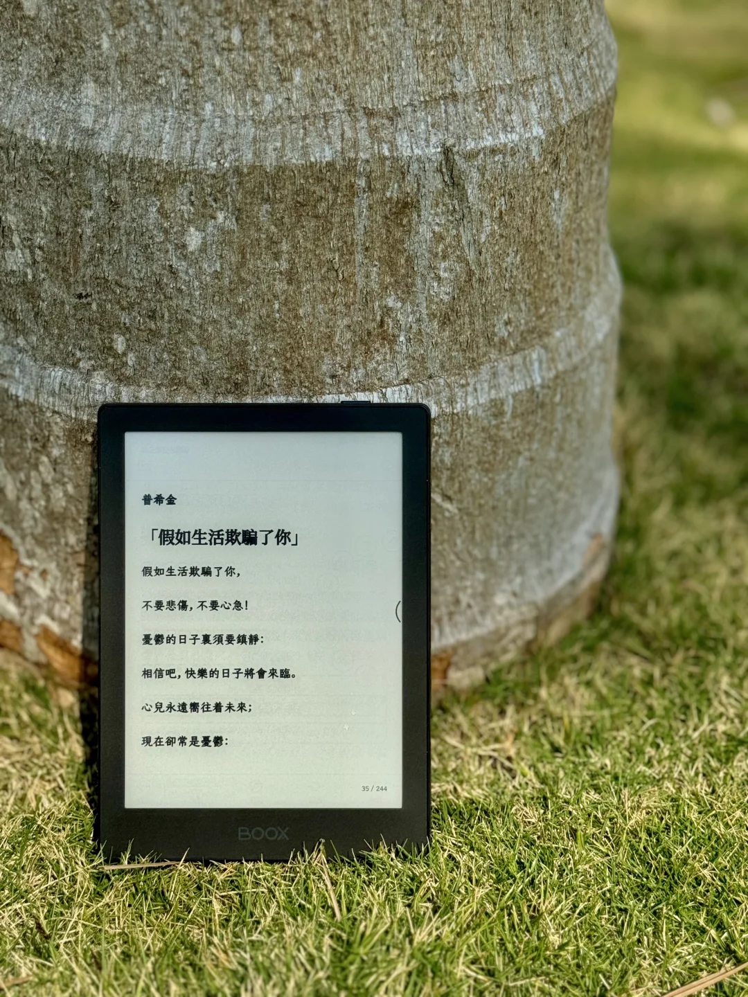 啊啊啊❗️文石Poke6S可以靠颜值出圈了吧❗️❗️