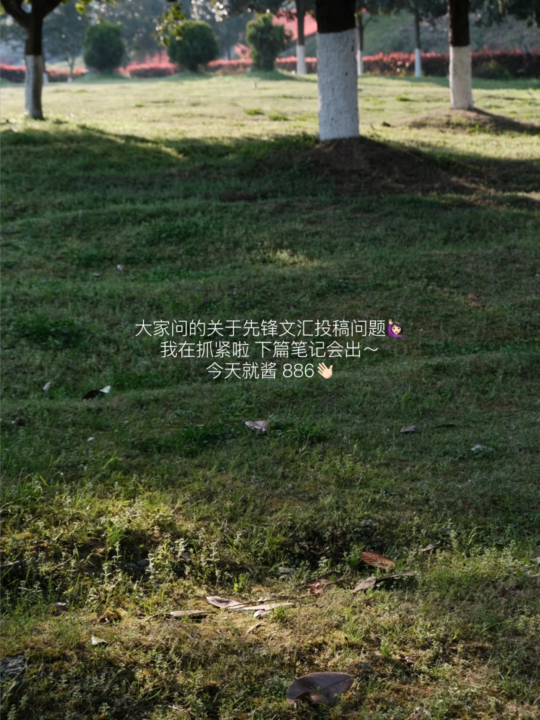 *当我拥有了阅读器：