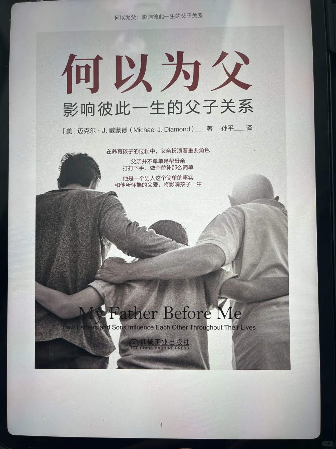 Zlib🕸️(2025年4.19)ipad没有看不了的书🔥