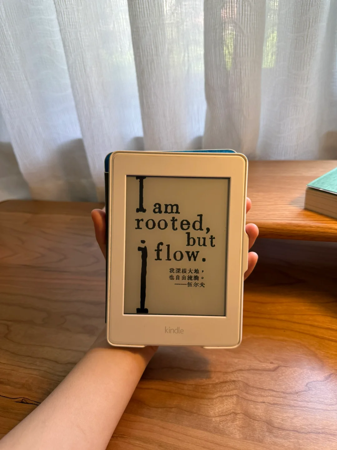 kindle壁纸分享💭