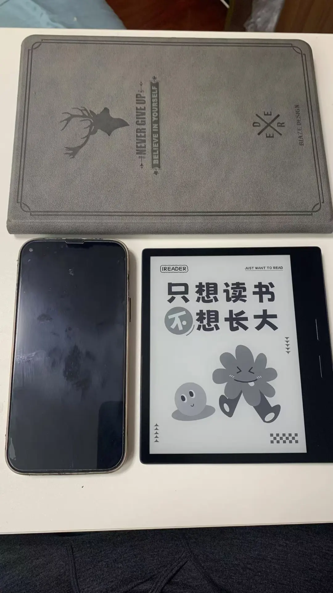入了第一个阅读器iReader Ocean 2