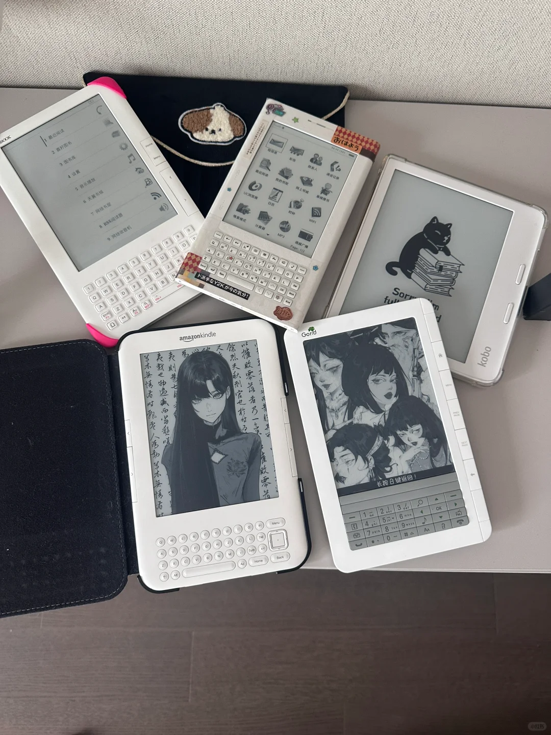 你有这么可爱的白色阅读器进入中国