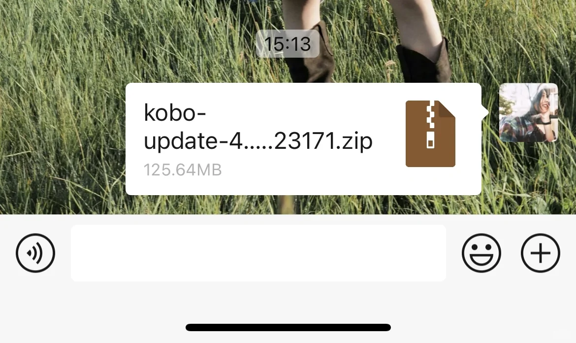 399拿下有横线的kobo Forma（附使用教程