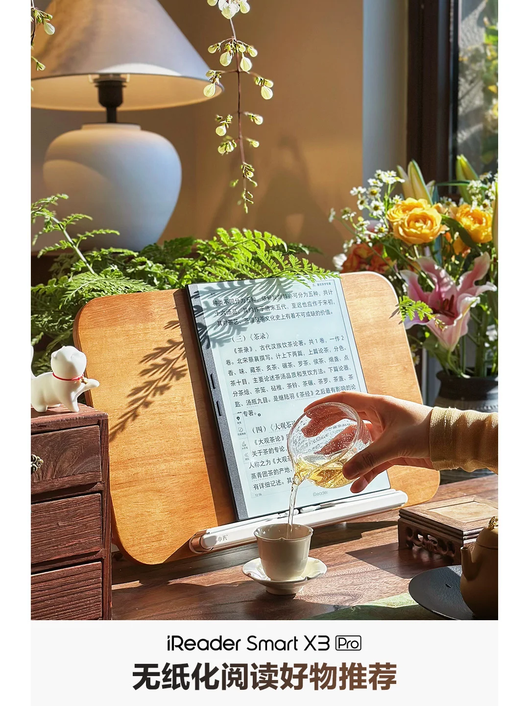 这一刻📖世界安静得只剩下我与文字的对谈