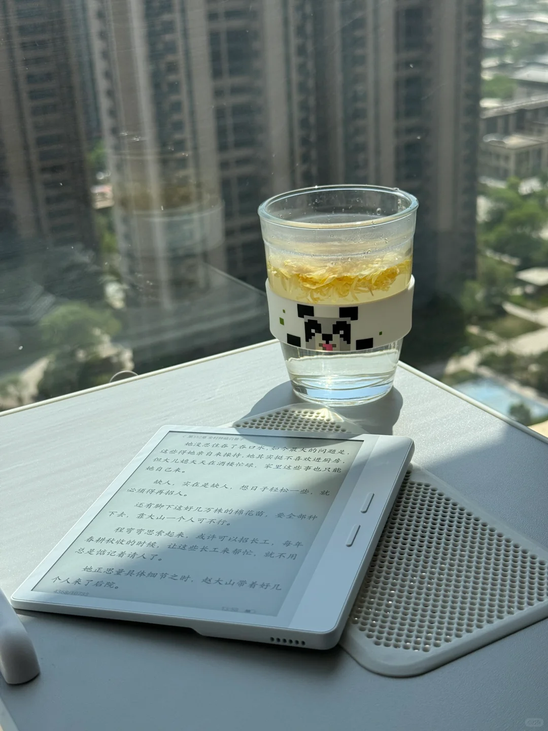 ☀️ 阳光下，我的纯白阅读伴侣