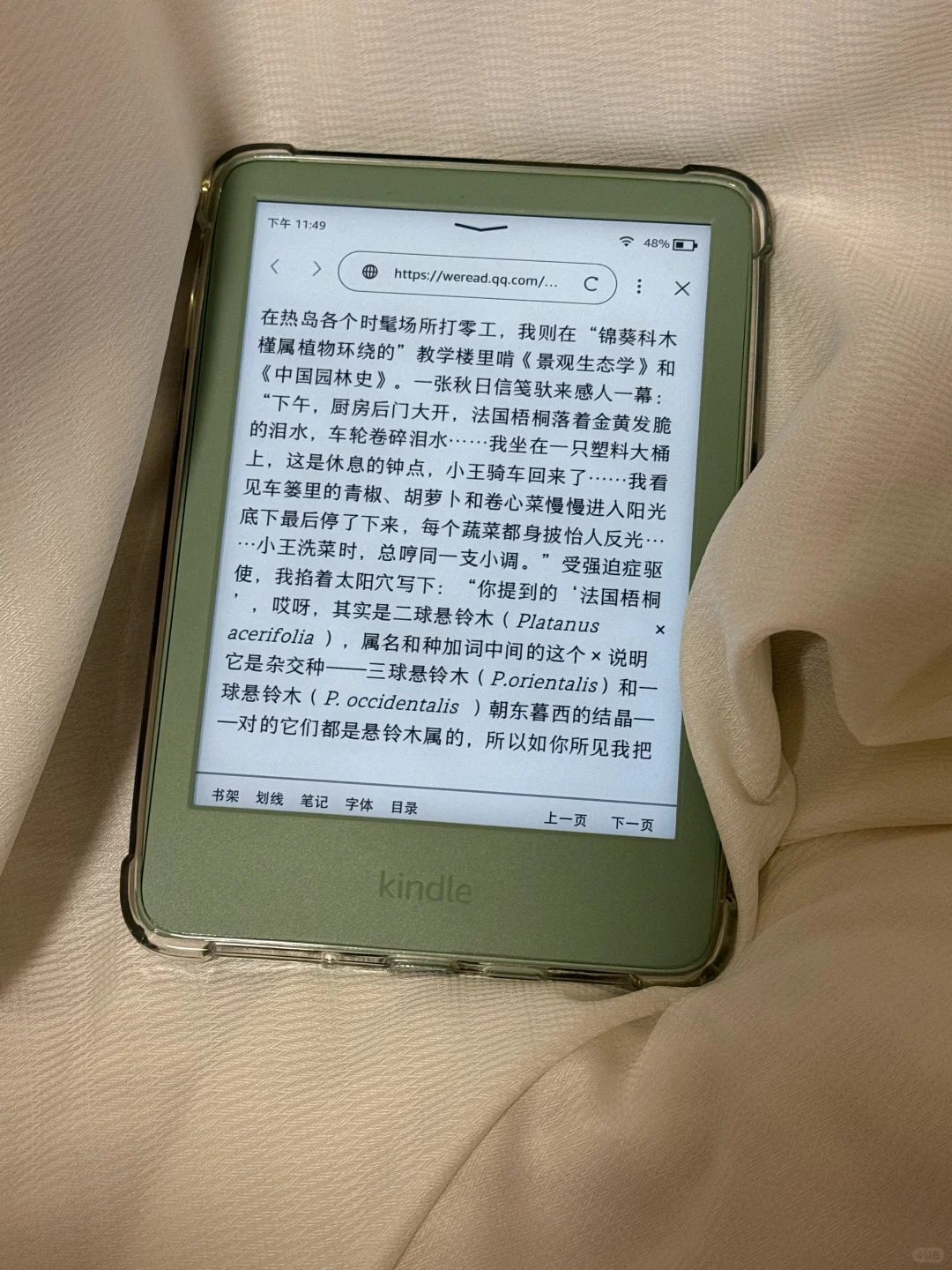 论小绿和涨工资的适配度