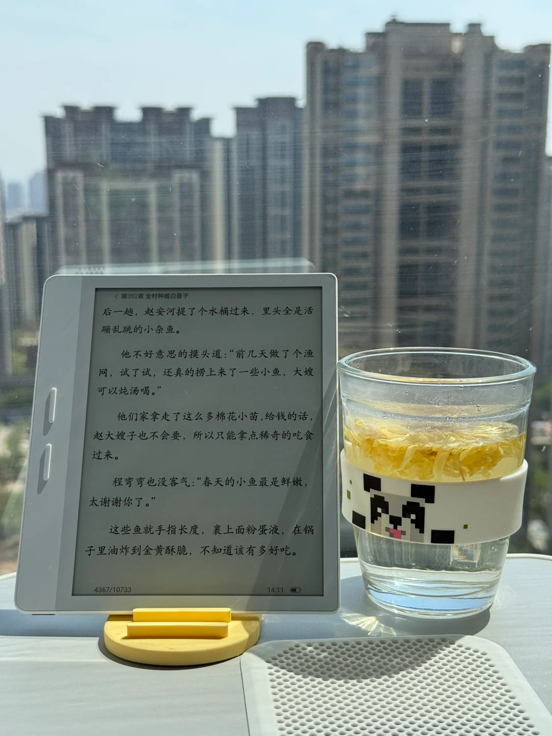 ☀️ 阳光下，我的纯白阅读伴侣