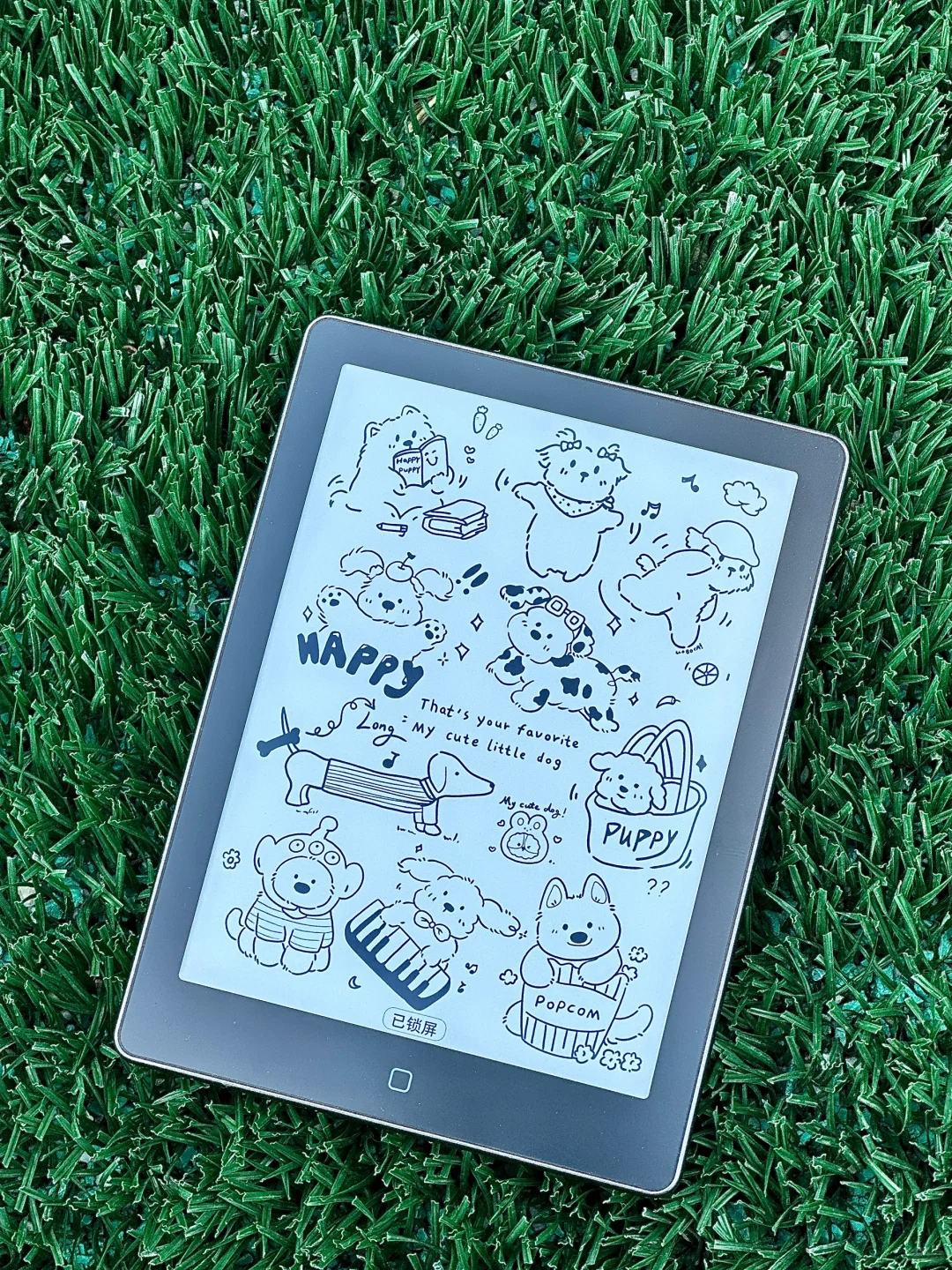 电纸书还是纸质书？📖