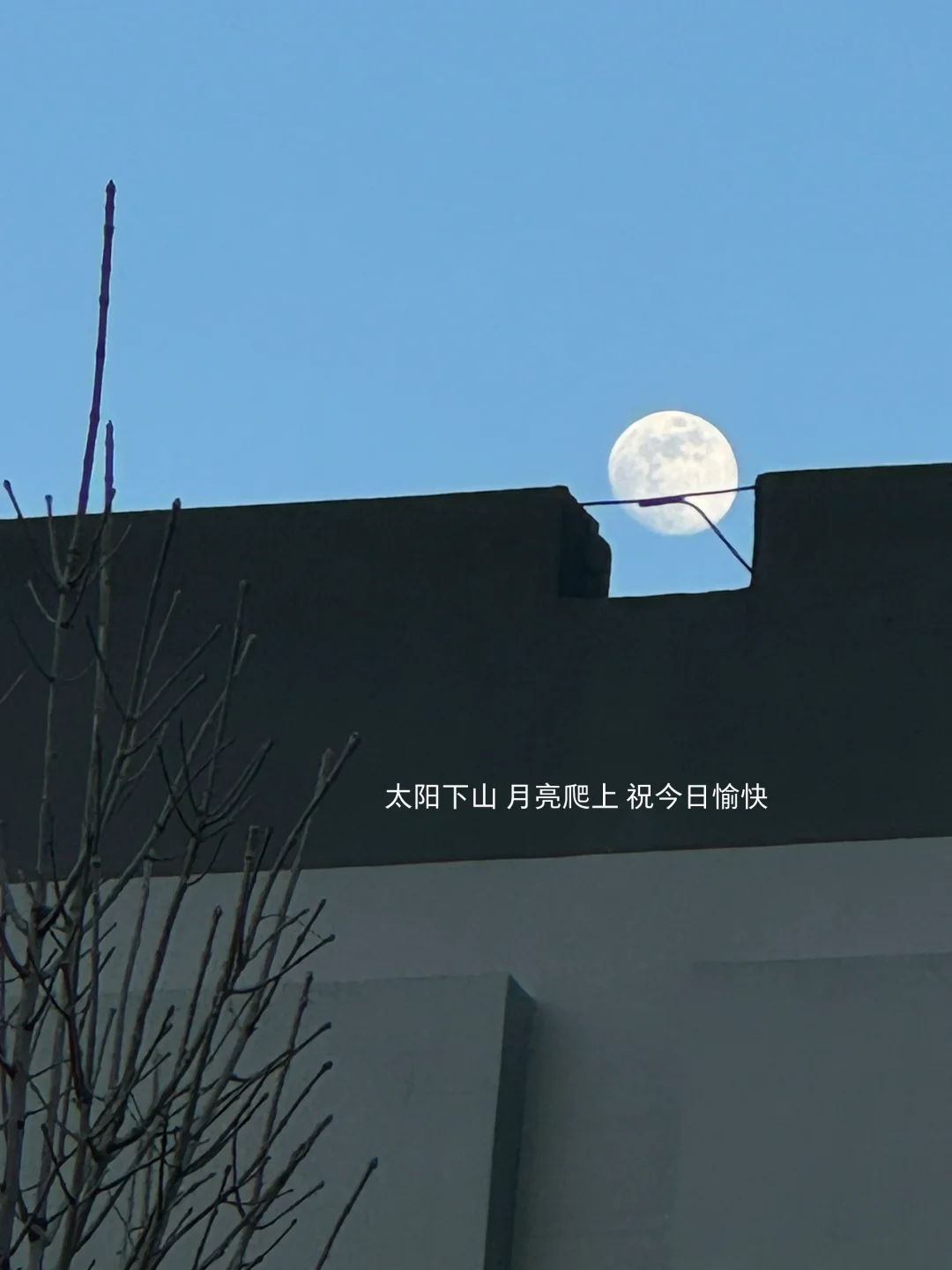 慕强的终点是崇拜自己