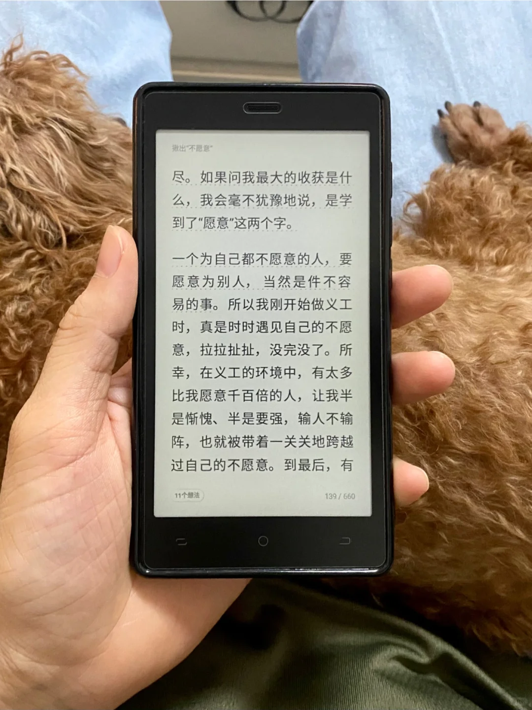 准备放弃口袋阅了，求推荐小屏