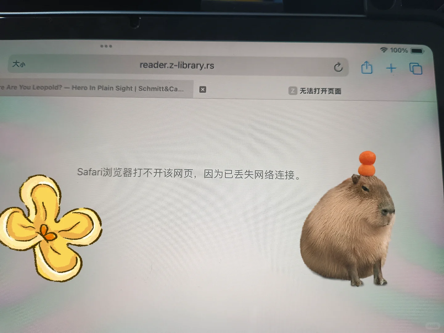 求助🆘🆘zlibrary