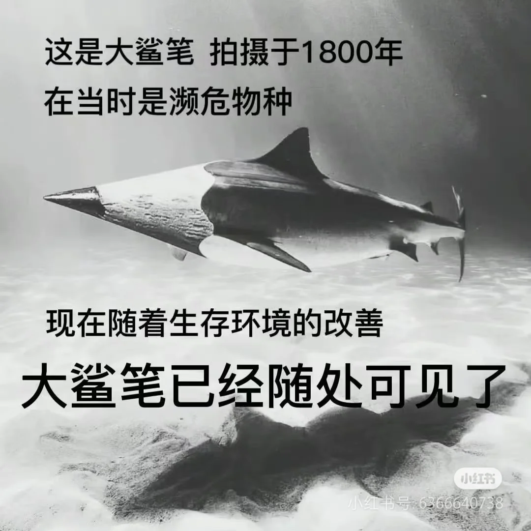 福州和厦门根本没有卖电纸书的店！