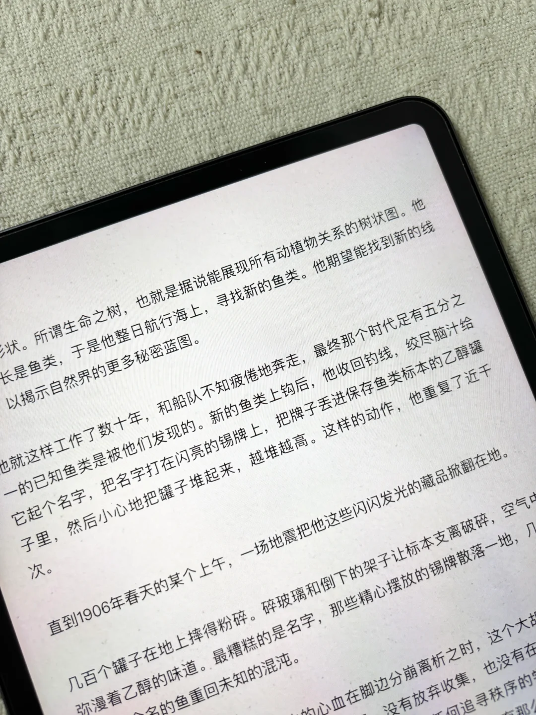 五一期间🔥iPad的正确打开方式🔥电子书自由