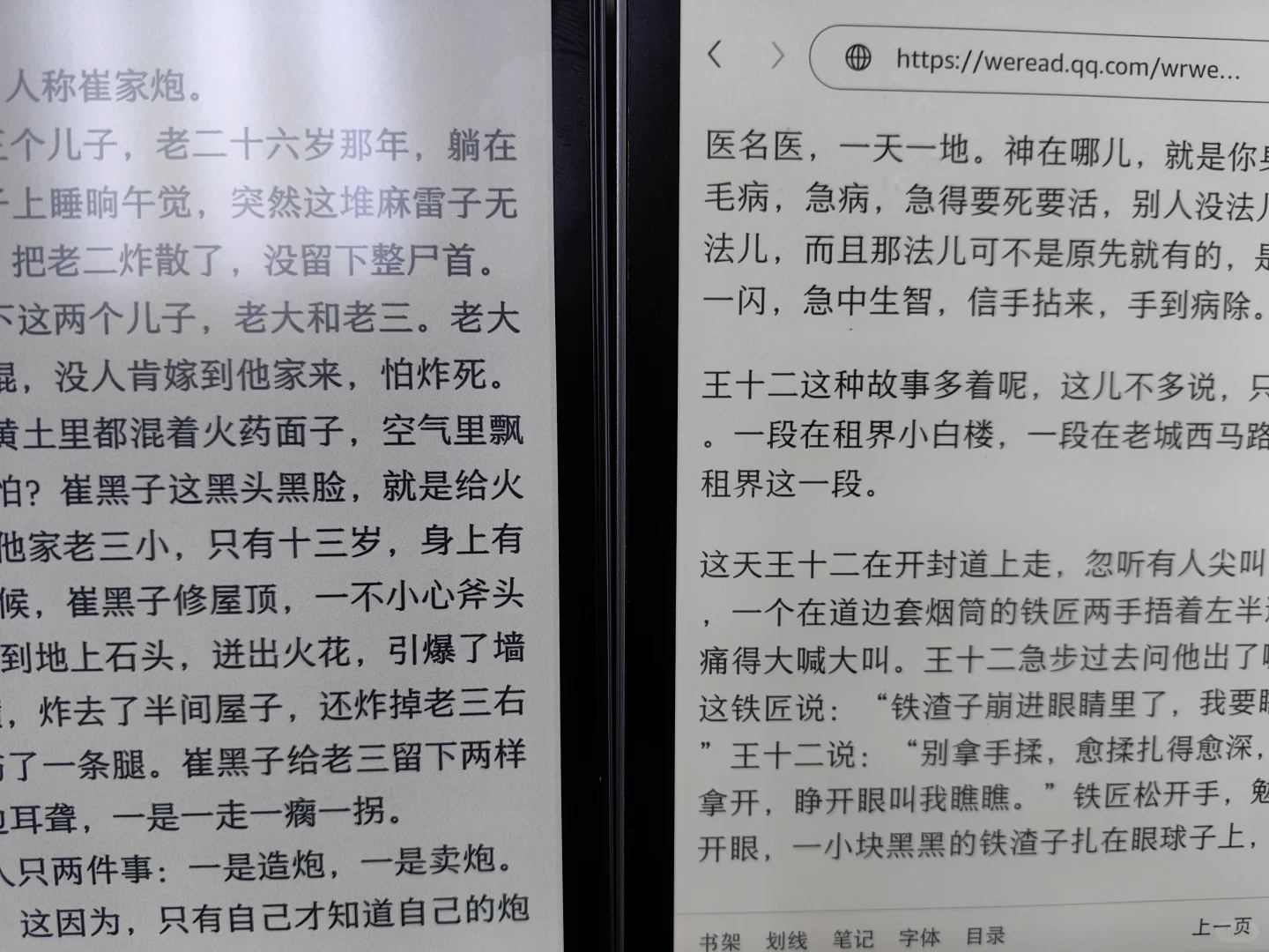 Kindle Oasis换文石Leaf 3C感受